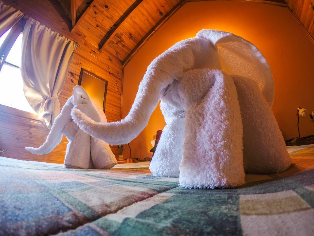 Cabanas De La Patagonia San Martín de los Andes Εξωτερικό φωτογραφία